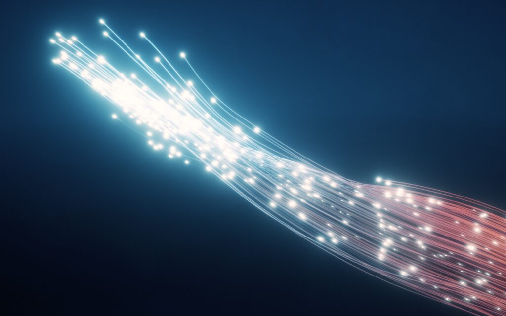 SCI CONNEXION INC - photo 3