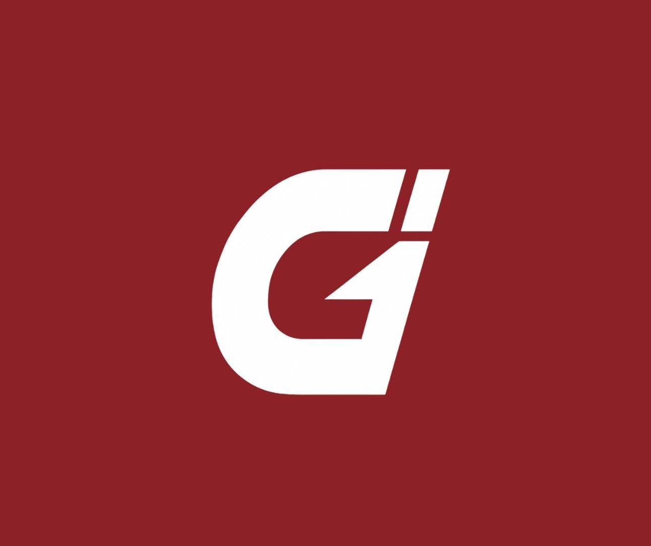 LES ENTREPRISES GALARNEAU INC