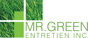 Carte de visite recto de MR GREEN ENTRETIEN