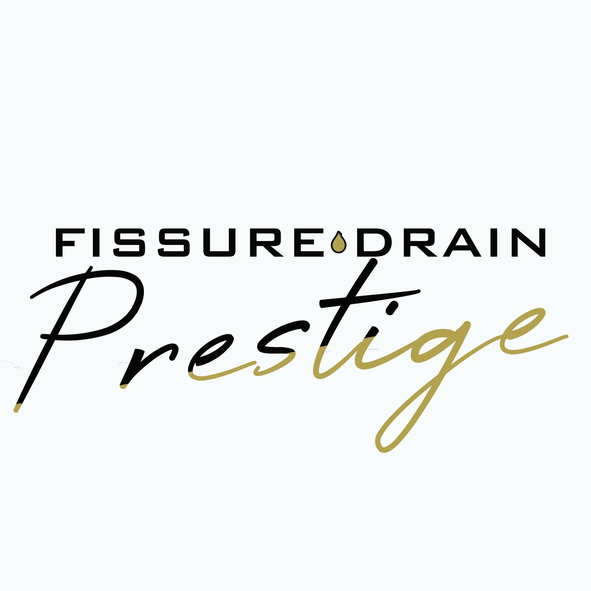 FISSURE DRAIN PRESTIGE INC