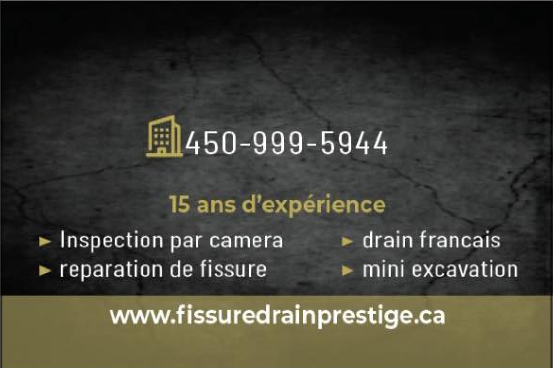 Carte de visite recto de FISSURE DRAIN PRESTIGE INC